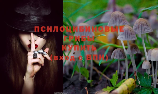 MDMA Армянск