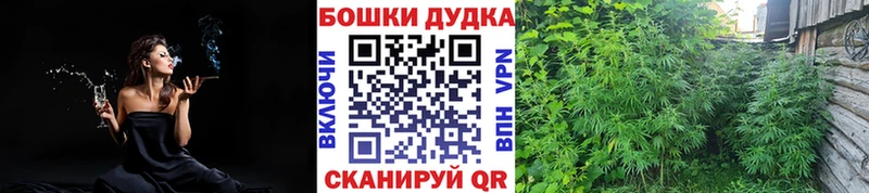 Шишки марихуана THC 21% Павловский Посад